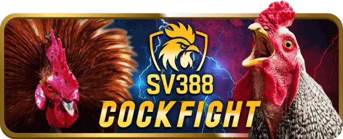 Xác minh ứng dụng bl88